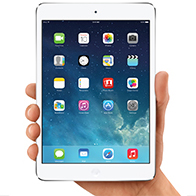 ipadmini2-top100