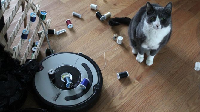 Ja, katten zijn echt dol op iRobots